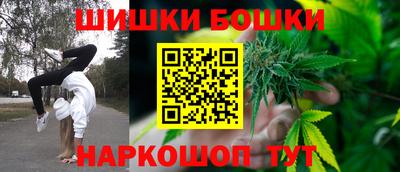 jwh Кингисепп
