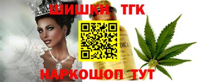jwh Кингисепп